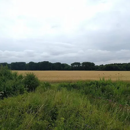 Beachfront Beauty In Hasmark - By Traum Otterup