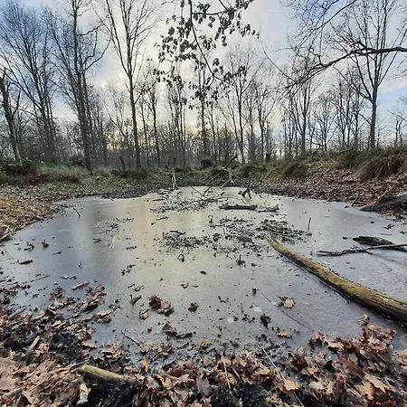 Beachfront Beauty In Hasmark - By Traum Hébergement de vacances *